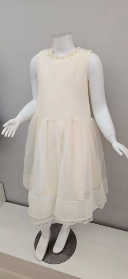 صورة فستان بيج نفاش أنيق مع الؤلؤ على العنق